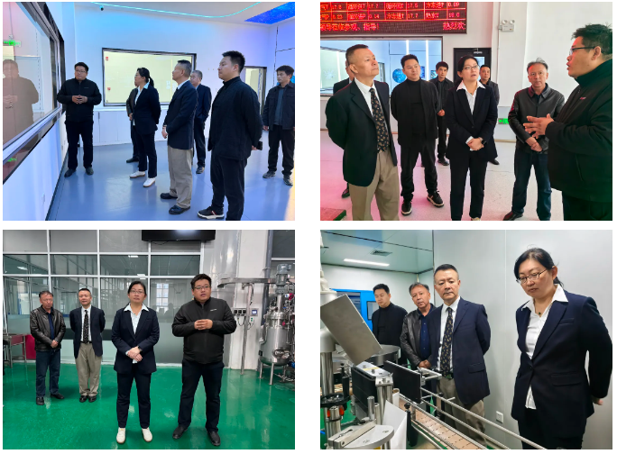 6731c97840332.png 1731316080571.png