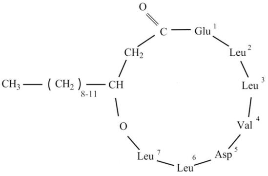 6737e9aeb2a6c.png 圖片1.png