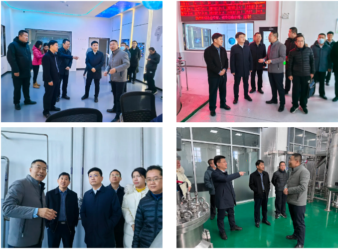 674a5a2680c9a.png 1732925985434.png