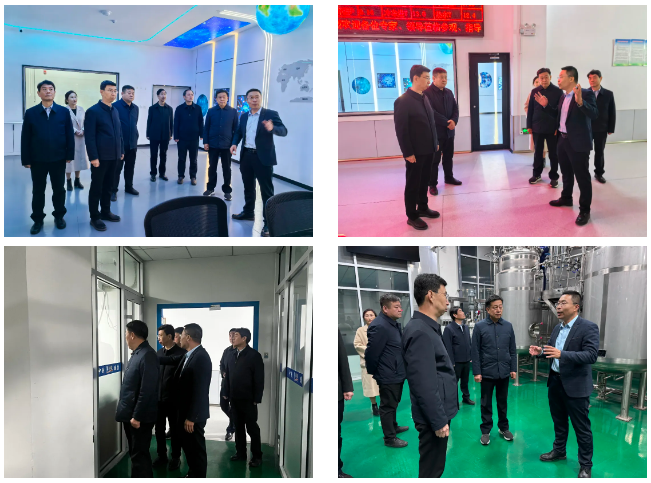 675794718a443.png 1733792875131.png