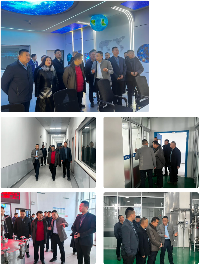 675f94a7a1f3e.png 1734317217966.png