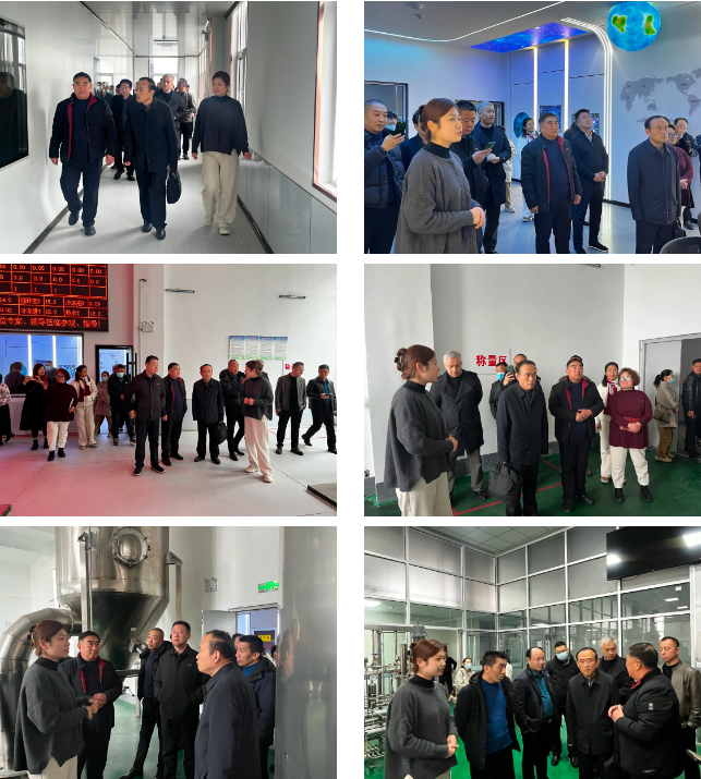 6802f77c58f29.png 1745024887270.png